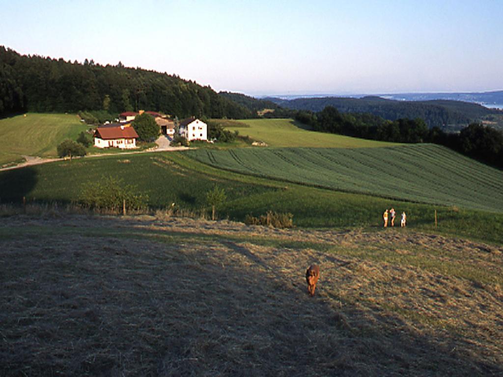 Apartment Aichem Radolfzell am Bodensee